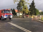 Zdjęcie nr 4091