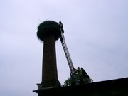 Zdjęcie nr 222