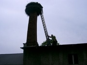 Zdjęcie nr 524