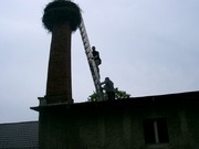 Zdjęcie nr 525