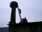 Zdjęcie nr 526
